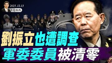 私密：[ID: xEAL0FabN6E] Youtube Automatic